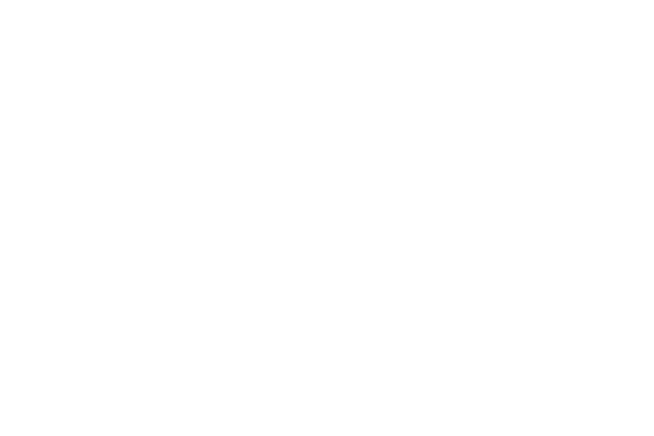 Nova Style